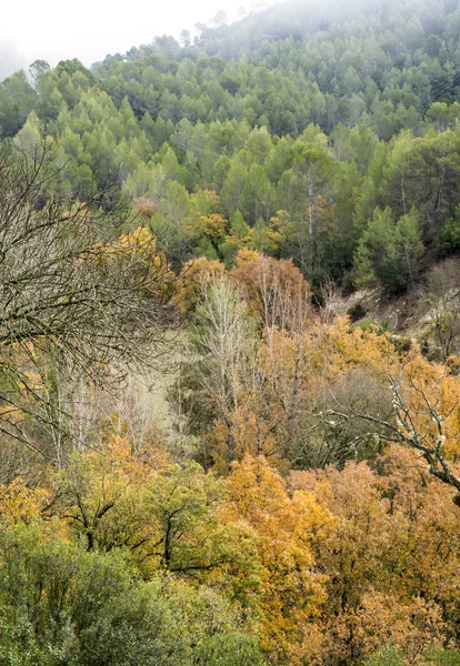 Bergen Van Sierra Cazorla Spaanse Provincie Jaen Een Zonnige Dag — Stockfoto