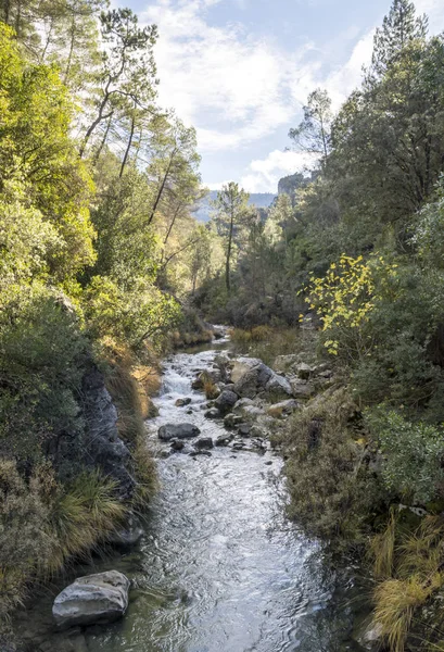 Güneşli bir günde Sierra de Cazorla Jaen İspanyol il içinde Guadalquivir Nehri başlangıcı.