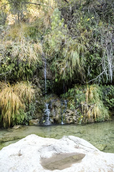 晴れた日にハエンのスペインの州のシエラ カソルラの山 — ストック写真