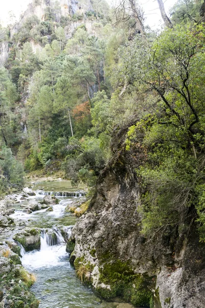 Początek Rzeki Gwadalkiwir Sierra Cazorla Hiszpańskiej Prowincji Jaen Słoneczny Dzień — Zdjęcie stockowe