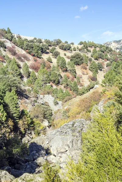 Bergen Van Sierra Cazorla Spaanse Provincie Jaen Een Zonnige Dag — Stockfoto