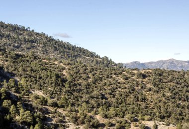 Jaen İspanyol il güneşli bir günde Sierra de Cazorla dağlarında.