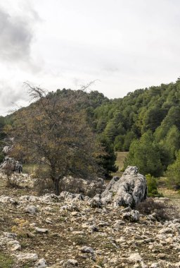 Jaen İspanyol il güneşli bir günde Sierra de Cazorla dağlarında.