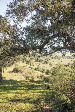 Jaen İspanyol il güneşli bir günde Sierra de Cazorla dağlarında.