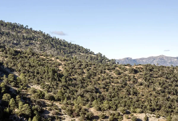 Montañas Sierra Cazorla Provincia Española Jaén Día Soleado — Foto de Stock