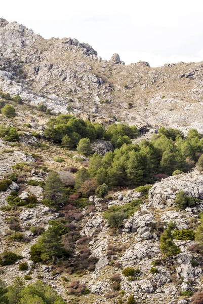 Montañas Sierra Cazorla Provincia Española Jaén Día Soleado —  Fotos de Stock