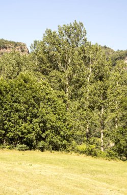 Güneşli bir günde İspanya 'nın Benasque vadisinde Pireneler Dağları.