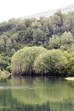 Güneşli bir günde İspanya Benasque Vadisi'nde Pyrenees nehirde.