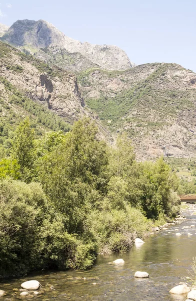 Річка Піренеях Долині Benasque Іспанії Сонячний День — стокове фото