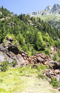 Güneşli bir günde İspanya 'nın Benasque vadisinde Pireneler Dağları.
