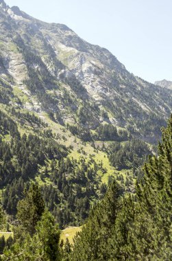 Güneşli bir günde İspanya 'nın Benasque vadisinde Pireneler Dağları.