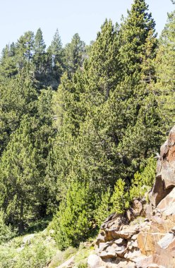 Güneşli bir günde İspanya 'nın Benasque vadisinde Pireneler Dağları.