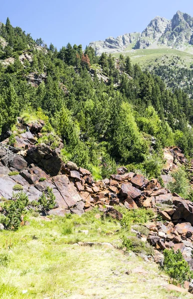Güneşli bir günde İspanya 'nın Benasque vadisinde Pireneler Dağları.