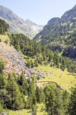 Güneşli bir günde İspanya 'nın Benasque vadisinde Pireneler Dağları.