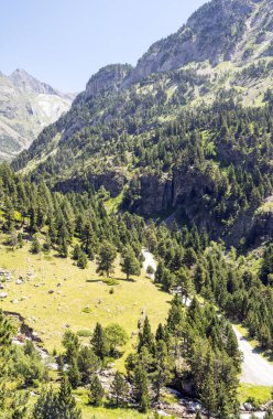 Güneşli bir günde İspanya 'nın Benasque vadisinde Pireneler Dağları.