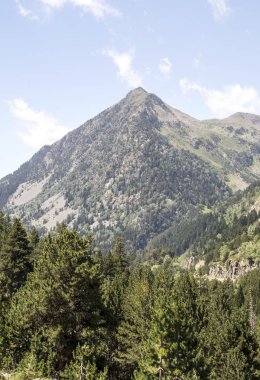 Güneşli bir günde İspanya 'nın Benasque vadisinde Pireneler Dağları.