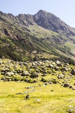 Güneşli bir günde İspanya 'nın Benasque vadisinde Pireneler Dağları.