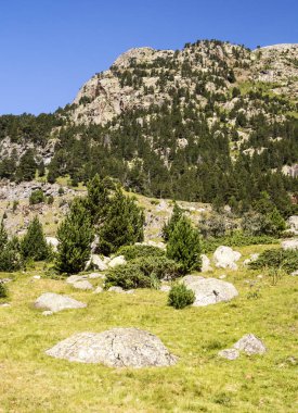 Güneşli bir günde İspanya 'nın Benasque vadisinde Pireneler Dağları.