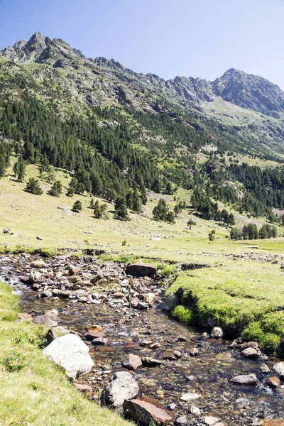 Güneşli bir günde İspanya Benasque Vadisi'nde Pyrenees nehirde.