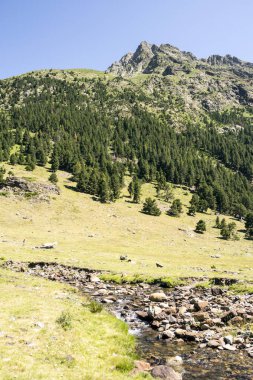Güneşli bir günde İspanya 'nın Benasque vadisinde Pireneler Dağları.