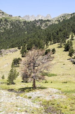 Güneşli bir günde İspanya 'nın Benasque vadisinde Pireneler Dağları.