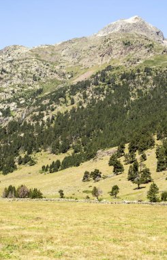 Güneşli bir günde İspanya 'nın Benasque vadisinde Pireneler Dağları.