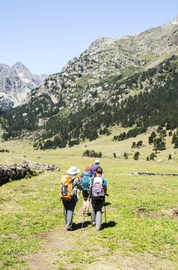 Güneşli bir günde İspanya 'nın Benasque vadisinde Pireneler Dağları.