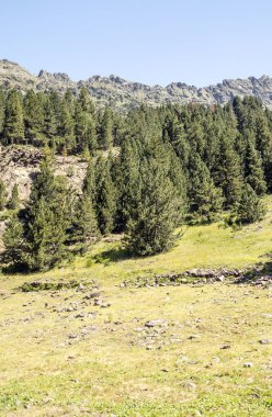 Güneşli bir günde İspanya 'nın Benasque vadisinde Pireneler Dağları.