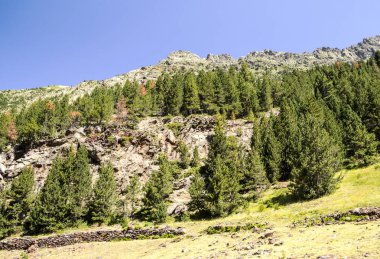 Güneşli bir günde İspanya 'nın Benasque vadisinde Pireneler Dağları.