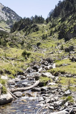 Güneşli bir günde İspanya Benasque Vadisi'nde Pyrenees nehirde.
