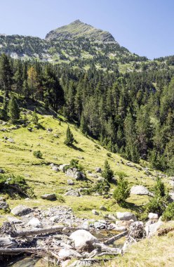 Güneşli bir günde İspanya Benasque Vadisi'nde Pyrenees nehirde.