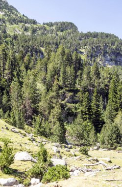 Güneşli bir günde İspanya 'nın Benasque vadisinde Pireneler Dağları.