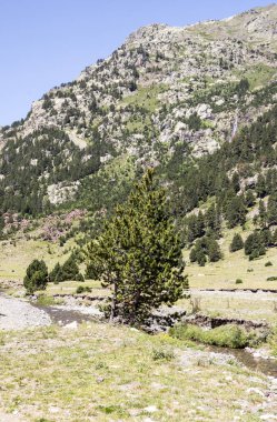 Güneşli bir günde İspanya Benasque Vadisi'nde Pyrenees nehirde.