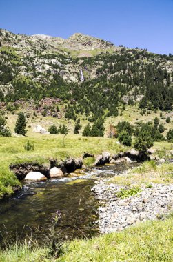 Güneşli bir günde İspanya Benasque Vadisi'nde Pyrenees nehirde.