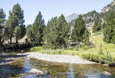 Güneşli bir günde İspanya Benasque Vadisi'nde Pyrenees nehirde.