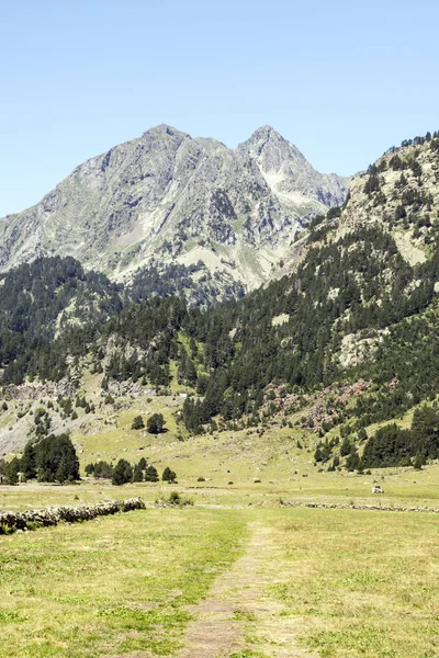 Montañas Los Pirineos Valle Benasque España Día Soleado — Foto de Stock