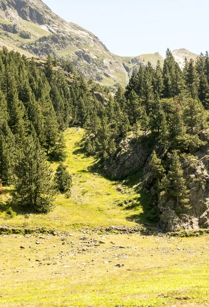 Pyrenejské Hory Benašském Údolí Španělsku Slunečného Dne — Stock fotografie