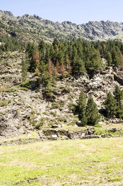 Bergen Van Pyreneeën Benasque Vallei Spanje Een Zonnige Dag — Stockfoto