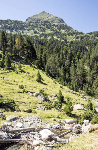 Rio Nos Pirinéus Vale Benasque Espanha Dia Ensolarado — Fotografia de Stock