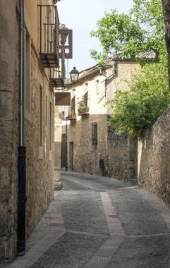 Pedraza Madrid kuzeyinde yer alan bir taslaktır. Çalışmaları Bask ressam Ignacio Zuloaga tarafından ekranda olan Pedraza kale gibi Ortaçağ binalarıyla ünlüdür. 