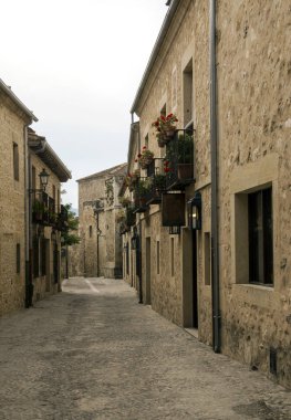 Pedraza Madrid kuzeyinde yer alan bir taslaktır. Çalışmaları Bask ressam Ignacio Zuloaga tarafından ekranda olan Pedraza kale gibi Ortaçağ binalarıyla ünlüdür. 