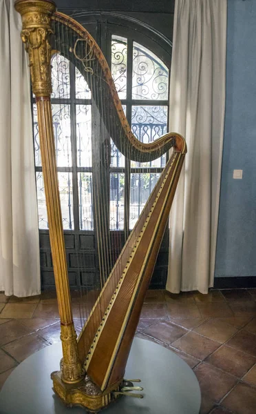 Harpa Dentro Uma Casa — Fotografia de Stock