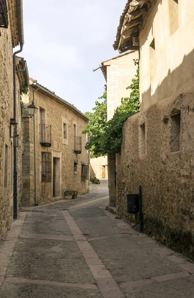 Pedraza Madrid kuzeyinde yer alan bir taslaktır. Çalışmaları Bask ressam Ignacio Zuloaga tarafından ekranda olan Pedraza kale gibi Ortaçağ binalarıyla ünlüdür. 