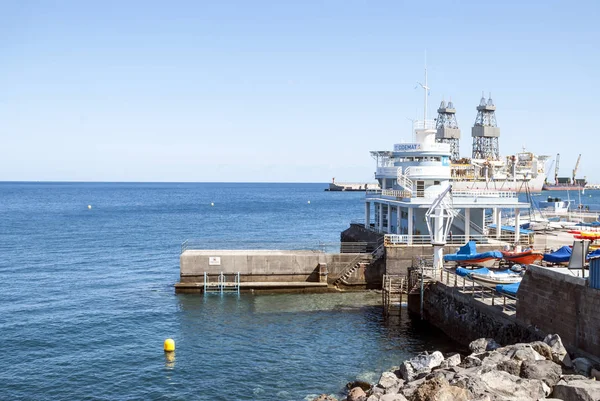 Santa Cruz Tenerife Datlovník Španělsko Červen 2018 Santa Cruz Tenerife — Stock fotografie