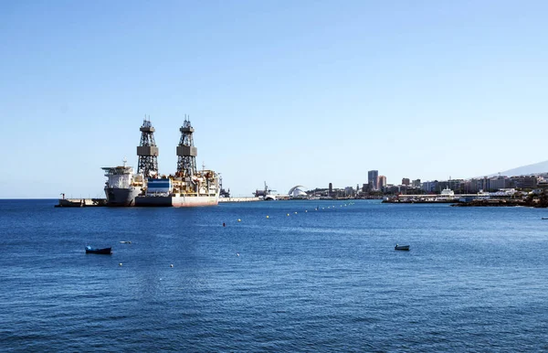 Santa Cruz Tenerife Datlovník Španělsko Červen 2018 Santa Cruz Tenerife — Stock fotografie