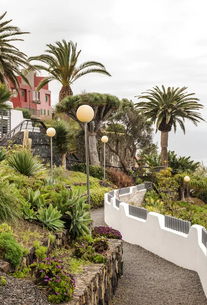 Tuin Met Palmbomen Het Eiland Tenerife Een Zonnige Dag — Stockfoto