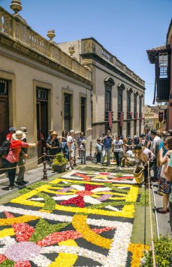 La Orotava Kanarya Adası İspanya - Haziran 2018. Corpus Christi günde çiçek halı üzerinde kasabanın insanları.