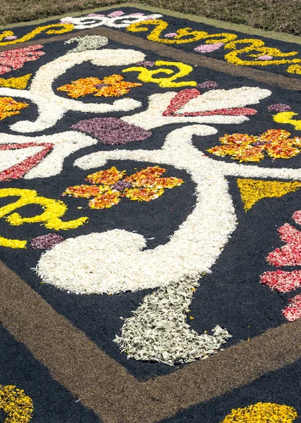 Bahçe çiçek yaprakları La Orotava Tenerife Adası ile.
