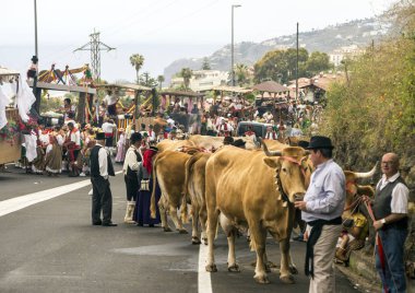 La Orotava, Tenerife, İspanya-Haziran 2018. San Isidro Labrador, La Orotava hac. Festivalin Ulusal Turizm ilgi olarak bildirilmiş ve Corpus Christi sonra kutladı. 