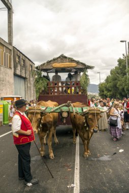 La Orotava, Tenerife, İspanya-Haziran 2018. San Isidro Labrador, La Orotava hac. Festivalin Ulusal Turizm ilgi olarak bildirilmiş ve Corpus Christi sonra kutladı. 
